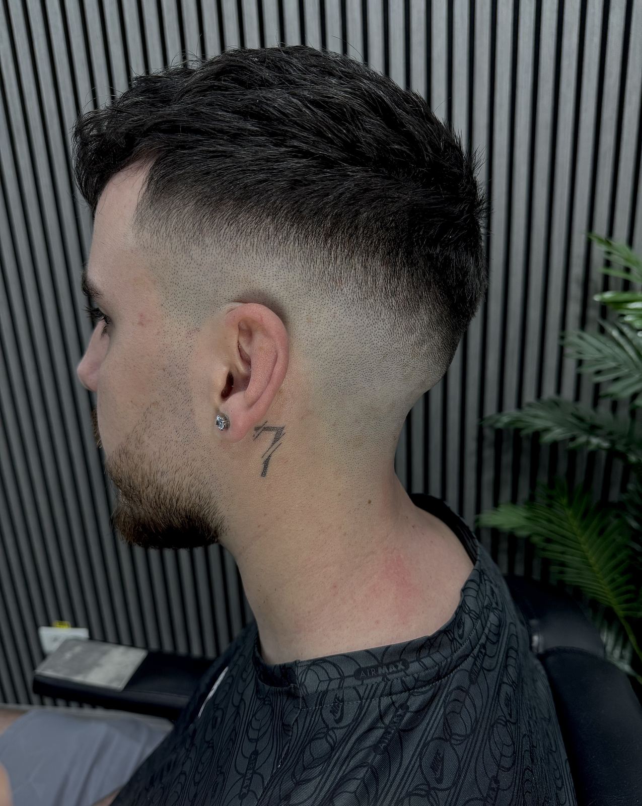 Breton texturat cu fade mediu, din profil, pe fundal de lamele negre